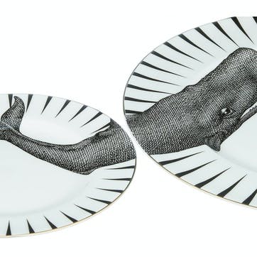 Monochrome Whale of a Time Plate Set