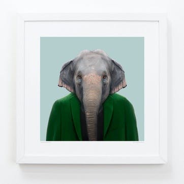 Zoo Portrait Asian Elephant, 33cm x 33cm