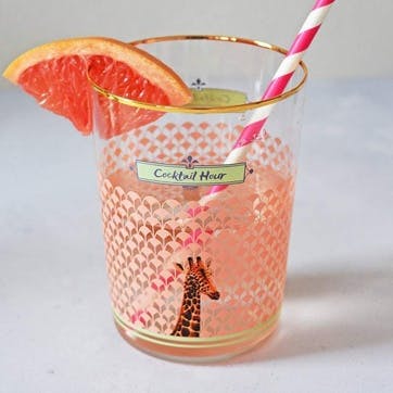 Cocktail Hour - Giraffe Set of 6 Hi Ball Glasses 550ml