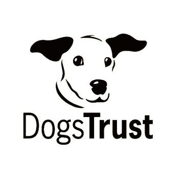 A Donation Towards Dogs Trust