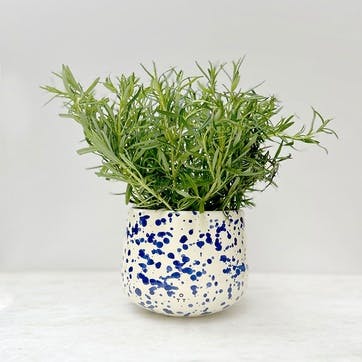 Splatter Indoor Planter  D15 x H13cm, Blueberry