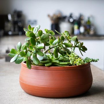 Kew Temperate House Handthrown Statement Bowl D38cm, Burnt Umber