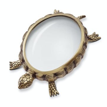 Turtle Magnifying Glass