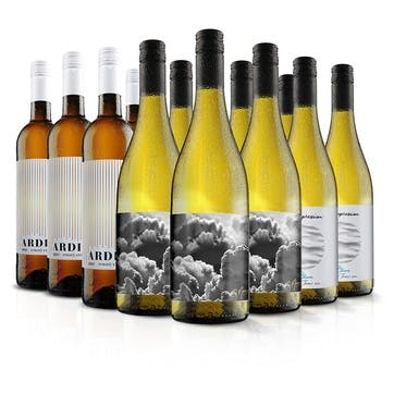 Luxury 12 Bottle White Wine Case