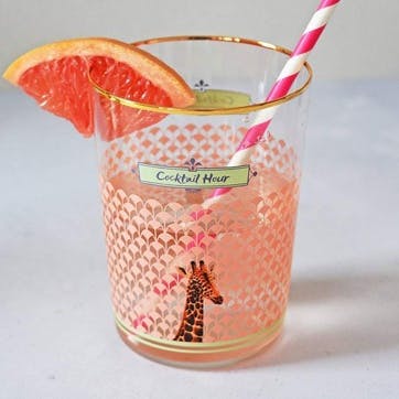 Giraffe  Cocktail Hour 550ml, Multi