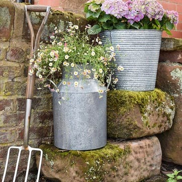 Galvanised Milk Churn H43cm x D33cm, Silver