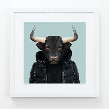 Zoo Portrait Bull, 33cm x 33cm