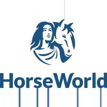 Donation towards HorseWorld