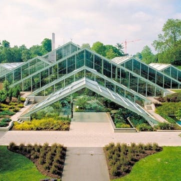 Visit to Kew Gardens with Afternoon Tea at the Botanical for Two