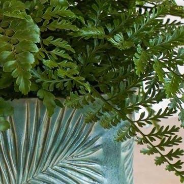 Kew Botanical Retreat Stoneware Sago Palm Bowl D24cm, Green