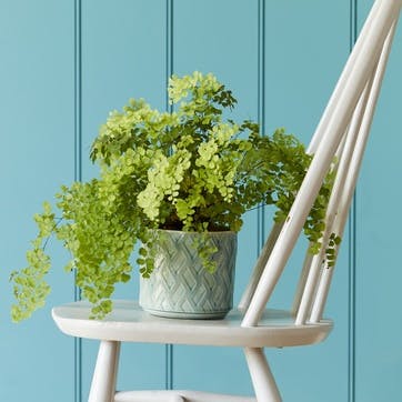 Barcelona Indoor Plant Pot, Celadon