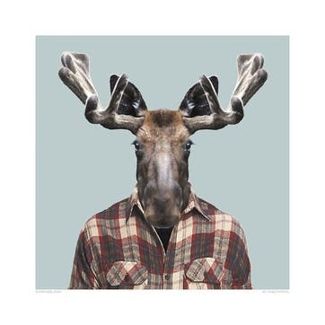 Zoo Portrait Print Moose, 33cm x 33cm