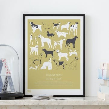 Dog Breeds Gun Dogs & Hounds Screen Print, 30cm x 40xm, Light Straw