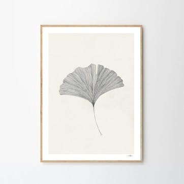 Grinko Leaf, Ana Frois Art Print