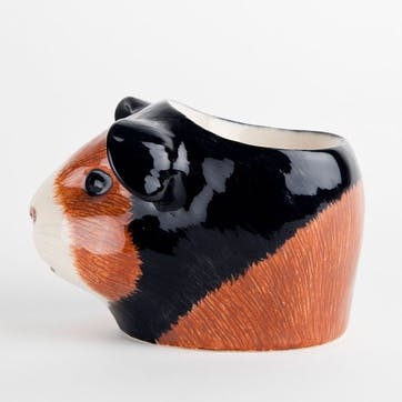 Guinea Pig  Egg Cup, H7cm, Multi