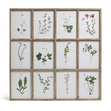 Set of Twelve Framed Pressed Flower Prints, Natural