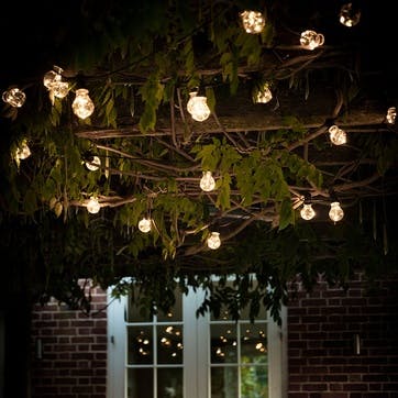 Festoon Lights 20 Bulbs, Black