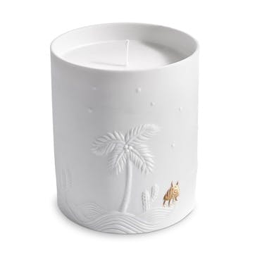 Haas Mojave Palm Candle