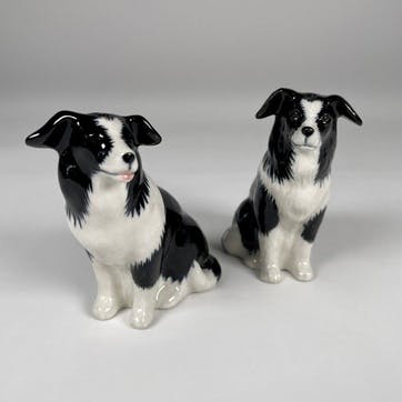 Border Collie Salt & Pepper Shakers H9cm Black/White