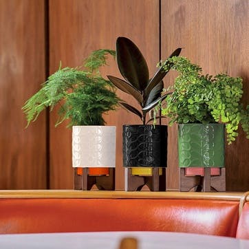 60's Stem Ceramic Plant Pot On Wooden Stand , Slate