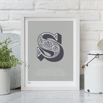 Illustrated letter S Screen Print, 30cm x 40cm, Putty