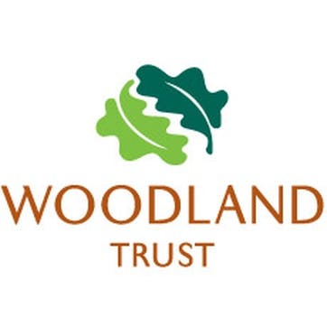 A Donation Towards The Woodland Trust