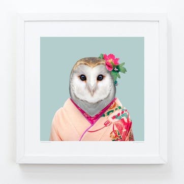 Zoo Portrait Barn Owl, 33cm x 33cm