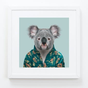 Zoo Portrait Print Koala, 33cm x 33cm