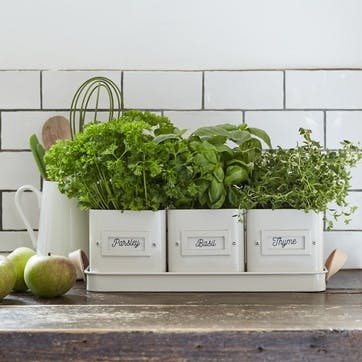 Enamelware Herb Pot, Set of 3, Stone