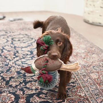 'Pheasant' Rope Dog Toy