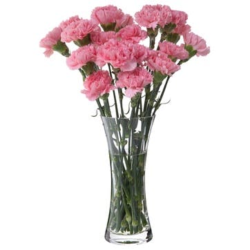 Florabundance Carnation Vase