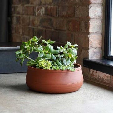 Kew Temperate House Handthrown Statement Bowl D30cm, Burnt Umber