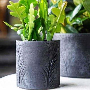 Kew Eclectic Orangery Handthrown Palm Planter D10cm, Basalt