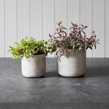 Set of 2 straight cement plant pots, 14.5 x 15cm, 11.5 x 12cm, Garden Trading Company, Stratton, stone