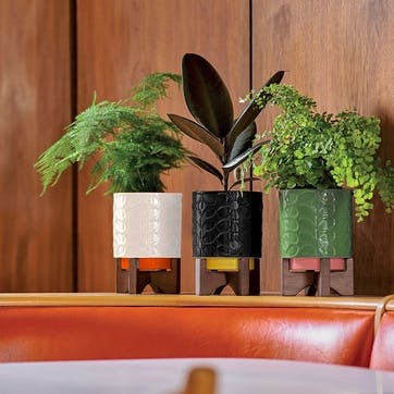 60's Stem Ceramic Plant Pot On Wooden Stand , Cream