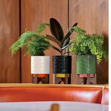 60's Stem Ceramic Plant Pot On Wooden Stand , Fern