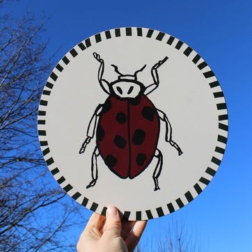 Ladybird Placemat, D28cm, Multi