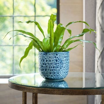 Reactive Glaze Planter D18cm, Blue