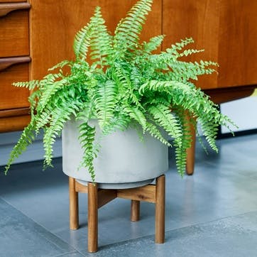 Vigo Planter With Stand D28cm, Concrete Grey