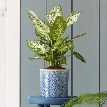 Porto Indoor Plant Pot, Dark Blue