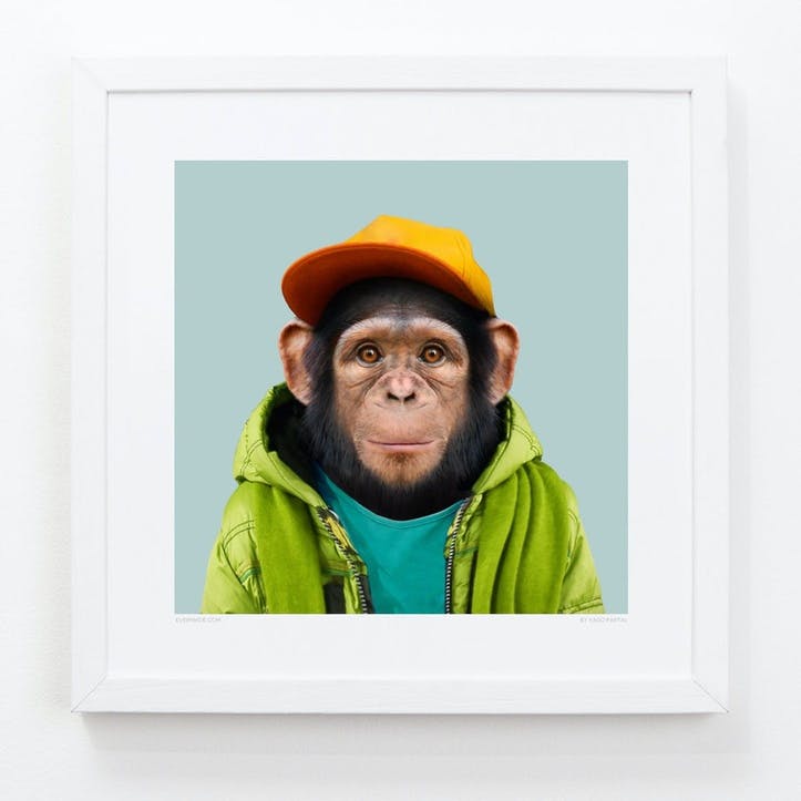 Zoo Portrait Print Chimpanzee, 33cm x 33cm