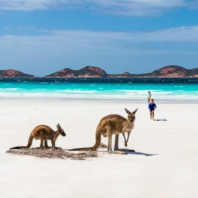 kangaroo-island-australia