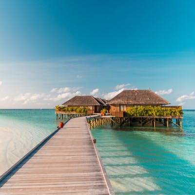 august-honeymoon-maldives