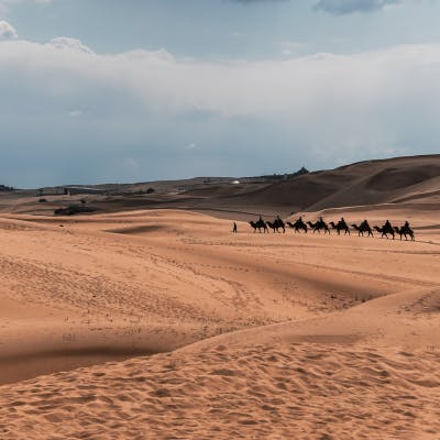 mongolia-gobi-desert