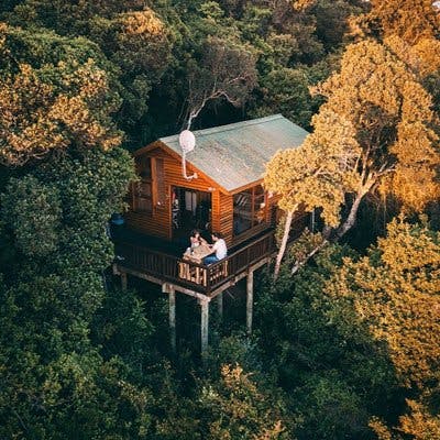 tree house stay new forest
